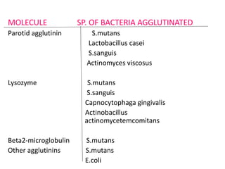 MOLECULE SP. OF BACTERIA AGGLUTINATED
Parotid agglutinin S.mutans
Lactobacillus casei
S.sanguis
Actinomyces viscosus
Lysozyme S.mutans
S.sanguis
Capnocytophaga gingivalis
Actinobacillus
actinomycetemcomitans
Beta2-microglobulin S.mutans
Other agglutinins S.mutans
E.coli
 