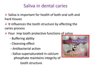 Saliva in dental caries
 Saliva is important for health of both oral soft and
hard tissues
 It influences the tooth structure by affecting the
caries process
 Four imp tooth protective functions of saliva
- Buffering ability
- Cleansing effect
- Antibacterial action
- Saliva supersaturated in calcium
phosphate maintains integrity of
tooth structure
 
