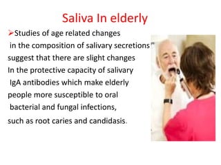 Saliva In elderly
Studies of age related changes
in the composition of salivary secretions
suggest that there are slight changes
In the protective capacity of salivary
IgA antibodies which make elderly
people more susceptible to oral
bacterial and fungal infections,
such as root caries and candidasis.
 