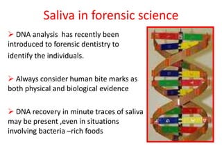 Saliva in forensic science
 DNA analysis has recently been
introduced to forensic dentistry to
identify the individuals.
 Always consider human bite marks as
both physical and biological evidence
 DNA recovery in minute traces of saliva
may be present ,even in situations
involving bacteria –rich foods
 