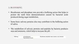 2. BUFFERING
• Bicarbonate and phosphate ions provide a buffering action that helps to
protect the teeth from demineralization caused by bacterial acids
produced during sugar metabolism.
• Some basic salivary proteins also may contribute to the buffering action
of saliva.
• The metabolism of salivary proteins and peptides by bacteria produces
urea and ammonia, which help to increase the pH.
 