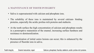 4. MAINTENANCE OF TOOTH INTEGRITY
• Saliva is supersaturated with calcium and phosphate ions.
• The solubility of these ions is maintained by several calcium- binding
proteins, especially the acidic proline-rich proteins and statherin.
• At the tooth surface the high concentration of calcium and phosphate results
in a posteruptive maturation of the enamel, increasing surface hardness and
resistance to demineralization.
• Remineralization of initial caries lesions can occur; this is enhanced by the
presence of fluoride ions in saliva.
 