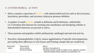 5. ANTIMICROBIAL ACTION
• Saliva contains a spectrum of proteins with antimicrobial activity such as the lysozyme,
lactoferrin, peroxidase, and secretory leukocyte protease inhibitor.
• A number of small peptides include α-defensins and β-defensins, cathelicidin-
LL37,histatins that function by inserting into membranes and disrupting cellular or
mitochondrial functions are present in saliva.
• These proteins and peptides exhibit antibacterial, antifungal and antiviral activity.
• Secretory immunoglobulin A (IgA), causes agglutination of specific microorganisms,
preventing their adherence to oral tissues and forming clumps that are swallowed.
 