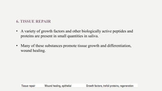 6. TISSUE REPAIR
• A variety of growth factors and other biologically active peptides and
proteins are present in small quantities in saliva.
• Many of these substances promote tissue growth and differentiation,
wound healing.
 