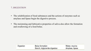 7. DIGESTION
• The solubilization of food substances and the actions of enzymes such as
amylase and lipase begin the digestive process.
• The moistening and lubricative properties of saliva also allow the formation
and swallowing of a food bolus.
 