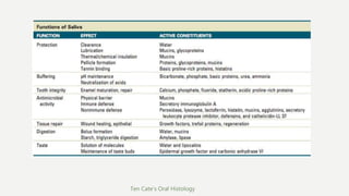 Ten Cate’s Oral Histology
 