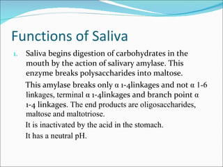 Functions of Saliva Saliva begins digestion of carbohydrates in the mouth by the action of salivary amylase. This enzyme breaks polysaccharides into maltose. This amylase breaks only  α  1-4linkages and not  α  1-6 linkages, terminal  α  1-4linkages and branch point  α  1-4 linkages . The end products are oligosaccharides, maltose and maltotriose. It is inactivated by the acid in the stomach. It has a neutral pH. 