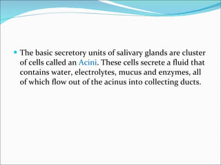 The basic secretory units of salivary glands are cluster of cells called an  Acini . These cells secrete a fluid that contains water, electrolytes, mucus and enzymes, all of which flow out of the acinus into collecting ducts. 