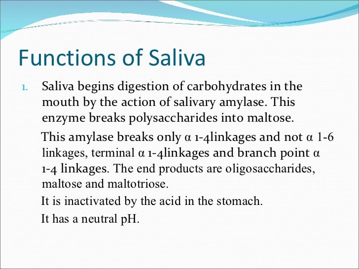 Saliva