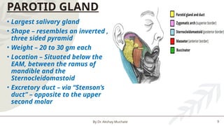 Saliva & Its Importance By Dr. Akshay G. Muchate .pptx