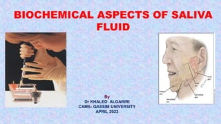 By
Dr KHALED ALGARIRI
CAMS- QASSIM UNIVERSITY
APRIL 2023
 