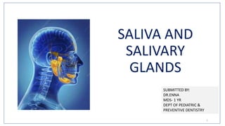 SALIVA AND
SALIVARY
GLANDS
SUBMITTED BY:
DR.ENNA
MDS- 1 YR
DEPT OF PEDIATRIC &
PREVENTIVE DENTISTRY
1
 