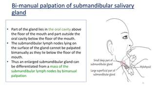 Bimanually Saliva and salivary glands.pptx