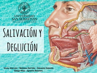 Salivacióny
Deglución
Vicky Alarcón - Melissa Garrido - Génesis Gajardo
Diego Díaz - Ignacio Briones.
 