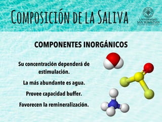 Su concentración dependerá de
estimulación.
La más abundante es agua.
Provee capacidad buffer.
Favorecen la remineralización.
ComposicióndelaSaliva
COMPONENTES INORGÁNICOS
 