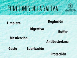 FuncionesdelaSaliva
Digestiva
Protección
Antibacteriana
Buffer
Limpieza
Gusto
Masticación
Deglución
Lubricación
 