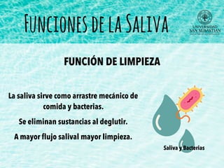 FuncionesdelaSaliva
FUNCIÓN DE LIMPIEZA
La saliva sirve como arrastre mecánico de
comida y bacterias.
Se eliminan sustancias al deglutir.
A mayor ﬂujo salival mayor limpieza.
Saliva y Bacterias
 