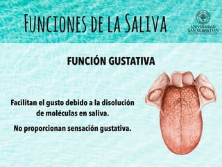 FuncionesdelaSaliva
FUNCIÓN GUSTATIVA
Facilitan el gusto debido a la disolución
de moléculas en saliva.
No proporcionan sensación gustativa.
 
