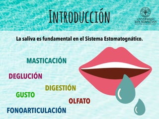 Introducción
La saliva es fundamental en el Sistema Estomatognático.
MASTICACIÓN
DEGLUCIÓN
GUSTO
OLFATO
FONOARTICULACIÓN
DIGESTIÓN
 