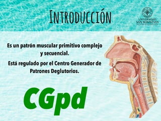 Introducción
Es un patrón muscular primitivo complejo
y secuencial.
Está regulado por el Centro Generador de
Patrones Deglutorios.
CGpd
 