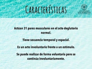 Características
Actúan 31 pares musculares en el acto deglutorio
normal.
Tiene secuencia temporal y espacial.
Es un acto involuntario frente a un estímulo.
Se puede realizar de forma voluntaria pero se
continúa involuntariamente.
 