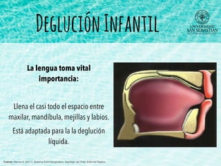 DegluciónInfantil
La lengua toma vital
importancia:
Llena el casi todo el espacio entre
maxilar, mandíbula, mejillas y labios.
Está adaptada para la la deglución
líquida.
Fuente: Manns A. (2011). Sistema Estomatognático. Santiago de Chile: Editorial Ripano.
 