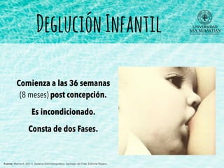 Comienza a las 36 semanas
(8 meses) post concepción.
Es incondicionado.
Consta de dos Fases.
DegluciónInfantil
Fuente: Manns A. (2011). Sistema Estomatognático. Santiago de Chile: Editorial Ripano.
 