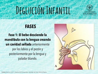 Fase 1: El bebe desciende la
mandíbula con la lengua creando
un cavidad sellada anteriormente
por los labios y el pezón y
posteriormente por la lengua y
paladar blando.
DegluciónInfantil
FASES
Fuente: Manns A. (2011). Sistema Estomatognático. Santiago de Chile: Editorial Ripano.
 