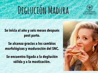 Se inicia al año y seis meses después
post parto.
Se alcanza gracias a los cambios
morfológicos y maduración del SNC.
Se encuentra ligada a la deglución
sólida y a la masticación.
DegluciónMadura
 