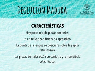 Hay presencia de piezas dentarias.
Es un reﬂejo condicionado aprendido.
La punta de la lengua se posiciona sobre la papila
retroincisiva.
Las piezas dentales están en contacto y la mandíbula
estabilizada.
DegluciónMadura
CARACTERÍSTICAS
 