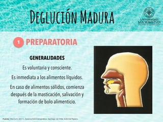 GENERALIDADES
Es voluntaria y consciente.
Es inmediata a los alimentos líquidos.
En caso de alimentos sólidos, comienza
después de la masticación, salivación y
formación de bolo alimenticio.
DegluciónMadura
Fuente: Manns A. (2011). Sistema Estomatognático. Santiago de Chile: Editorial Ripano.
PREPARATORIA1
 