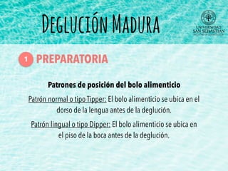 Patrones de posición del bolo alimenticio
Patrón normal o tipo Tipper: El bolo alimenticio se ubica en el
dorso de la lengua antes de la deglución.
Patrón lingual o tipo Dipper: El bolo alimenticio se ubica en
el piso de la boca antes de la deglución.
DegluciónMadura
PREPARATORIA1
 