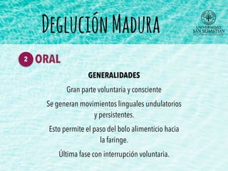 GENERALIDADES
Gran parte voluntaria y consciente
Se generan movimientos linguales undulatorios
y persistentes.
Esto permite el paso del bolo alimenticio hacia
la faringe.
Última fase con interrupción voluntaria.
DegluciónMadura
ORAL2
 