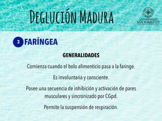 GENERALIDADES
Comienza cuando el bolo alimenticio pasa a la faringe.
Es involuntaria y consciente.
Posee una secuencia de inhibición y activación de pares
musculares y sincronizado por CGpd.
Permite la suspensión de respiración.
DegluciónMadura
FARÍNGEA3
 