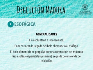 GENERALIDADES
Es involuntaria e inconsciente.
Comienza con la llegada del bolo alimenticio al esófago.
El bolo alimenticio se propulsa por una contracción del músculo
liso esofágico (peristalsis primaria) seguida de una onda de
relajación.
ESOFÁGICA4
DegluciónMadura
 