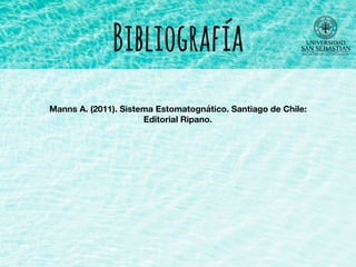 Bibliografía
Manns A. (2011). Sistema Estomatognático. Santiago de Chile:
Editorial Ripano.
 