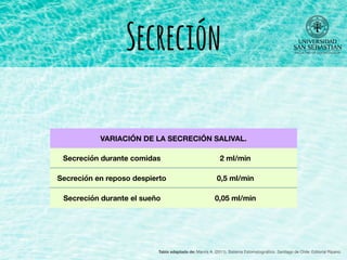 Secreción
VARIACIÓN DE LA SECRECIÓN SALIVAL.
Secreción durante comidas 2 ml/min
Secreción en reposo despierto 0,5 ml/min
Secreción durante el sueño 0,05 ml/min
Tabla adaptada de: Manns A. (2011). Sistema Estomatognático. Santiago de Chile: Editorial Ripano.
 