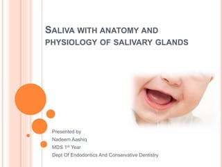 SALIVA WITH ANATOMY AND
PHYSIOLOGY OF SALIVARY GLANDS
Presented by
Nadeem Aashiq
MDS 1st Year
Dept Of Endodontics And Conservative Dentistry
 