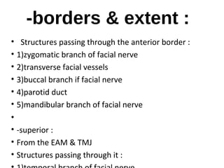 Salivary Glands Anatomy & Inflammation & Tumors | PPT