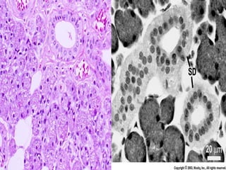 Second Year Section 4 2009/2010
 