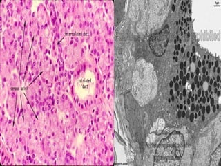 Second Year Section 4 2009/2010
 