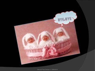 Second Year Section 4 2009/2010
 