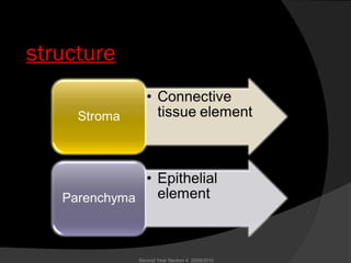 structure
Second Year Section 4 2009/2010
 