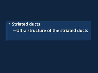 • Striated ducts
–Ultra structure of the striated ducts
 