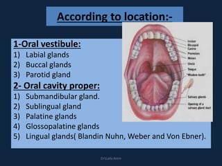 According to location:-
1-Oral vestibule:
1) Labial glands
2) Buccal glands
3) Parotid gland
2- Oral cavity proper:
1) Submandibular gland.
2) Sublingual gland
3) Palatine glands
4) Glossopalatine glands
5) Lingual glands( Blandin Nuhn, Weber and Von Ebner).
DrLaila Amin
 