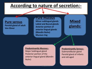 According to nature of secretion:-
Pure serous
Parotid gland of adult
Von Ebner
Pure mucous
Minor sublingual glands
Labial and Buccal glands
Anterior portion of
anterior lingual glands
(Blandin Nuhn)
Mucous ring
Mixed
glands:
Predominantly Serous:-
Submandibular gland
Parotid gland of infants
and old aged
Predominantly Mucous:-
Major Sublingual gland
Posterior portion of the
anterior lingual gland (Blandin
Nuhn)
DrLaila Amin
 