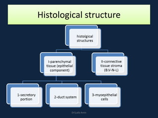 Histological structure
DrLaila Amin
 