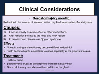 Clinical Considerations
• Xerostomia(dry mouth):
Reduction in the amount of secreted saliva may lead to sensation of oral dryness.
Causes:
1) It occurs mostly as a side effect of other medications.
2) After radiation therapy to the head and neck region.
3) In auto-immune diseases as Sjogren syndrome.
Effects:
 Speech, eating and swallowing become difficult and painful.
 Teeth become highly susceptible to caries especially at the gingival margins.
Treatment:
 artificial saliva.
 pathomimetic drugs as pilocarpine to increase salivary flow.
 Stem cell therapy can alleviate the condition of the gland.
DrLaila Amin
 