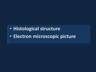• Histological structure
• Electron microscopic picture
 