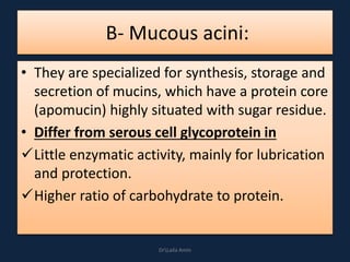 B- Mucous acini:
• They are specialized for synthesis, storage and
secretion of mucins, which have a protein core
(apomucin) highly situated with sugar residue.
• Differ from serous cell glycoprotein in
Little enzymatic activity, mainly for lubrication
and protection.
Higher ratio of carbohydrate to protein.
DrLaila Amin
 